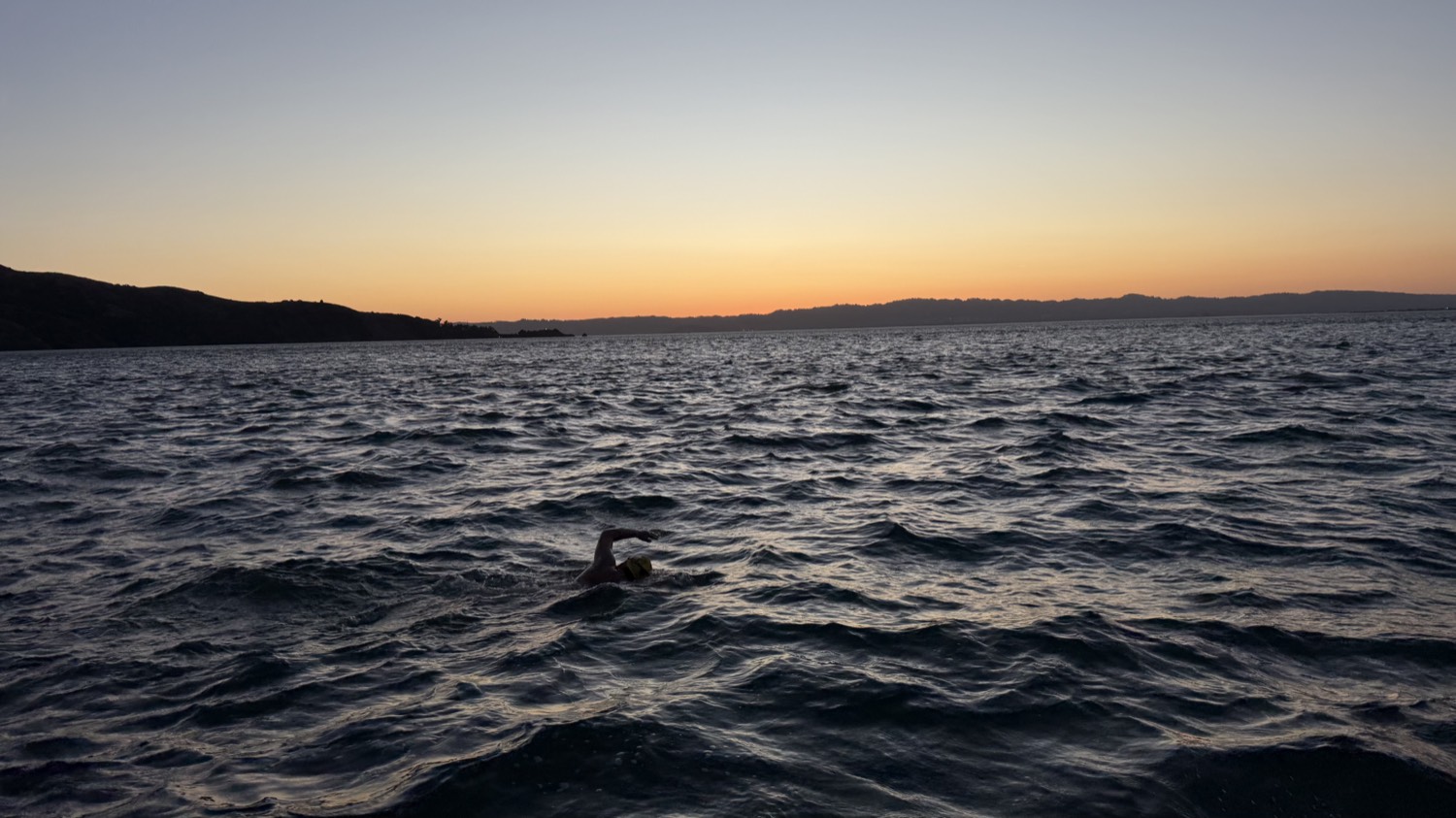 An open water swimmer in profile in the San Francisco Bay at dawn, head turned to take a breath