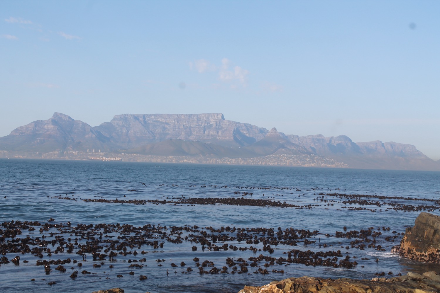 Table Mountain and the profile of Cape Town seen from Robben Island, across a stretch of sea