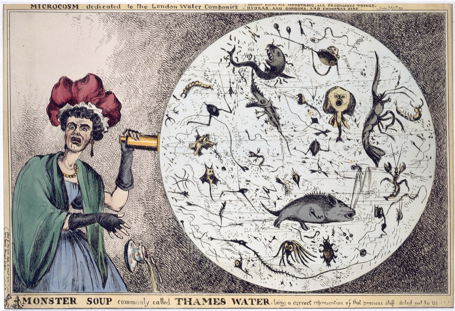 Satirical engraving: a woman drops her teacup while observing a drop of Thames water full of monsters and a large fish through a magnifying glass