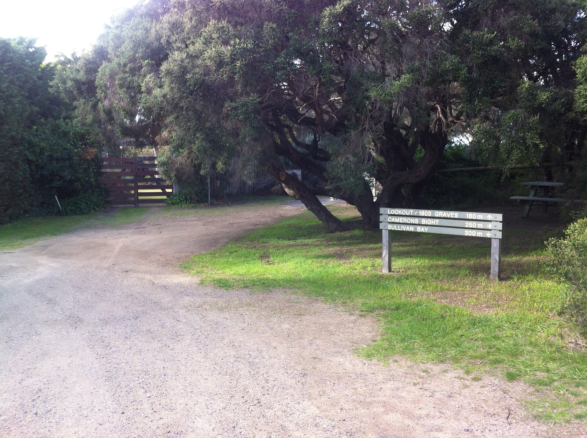 Collins settlement site