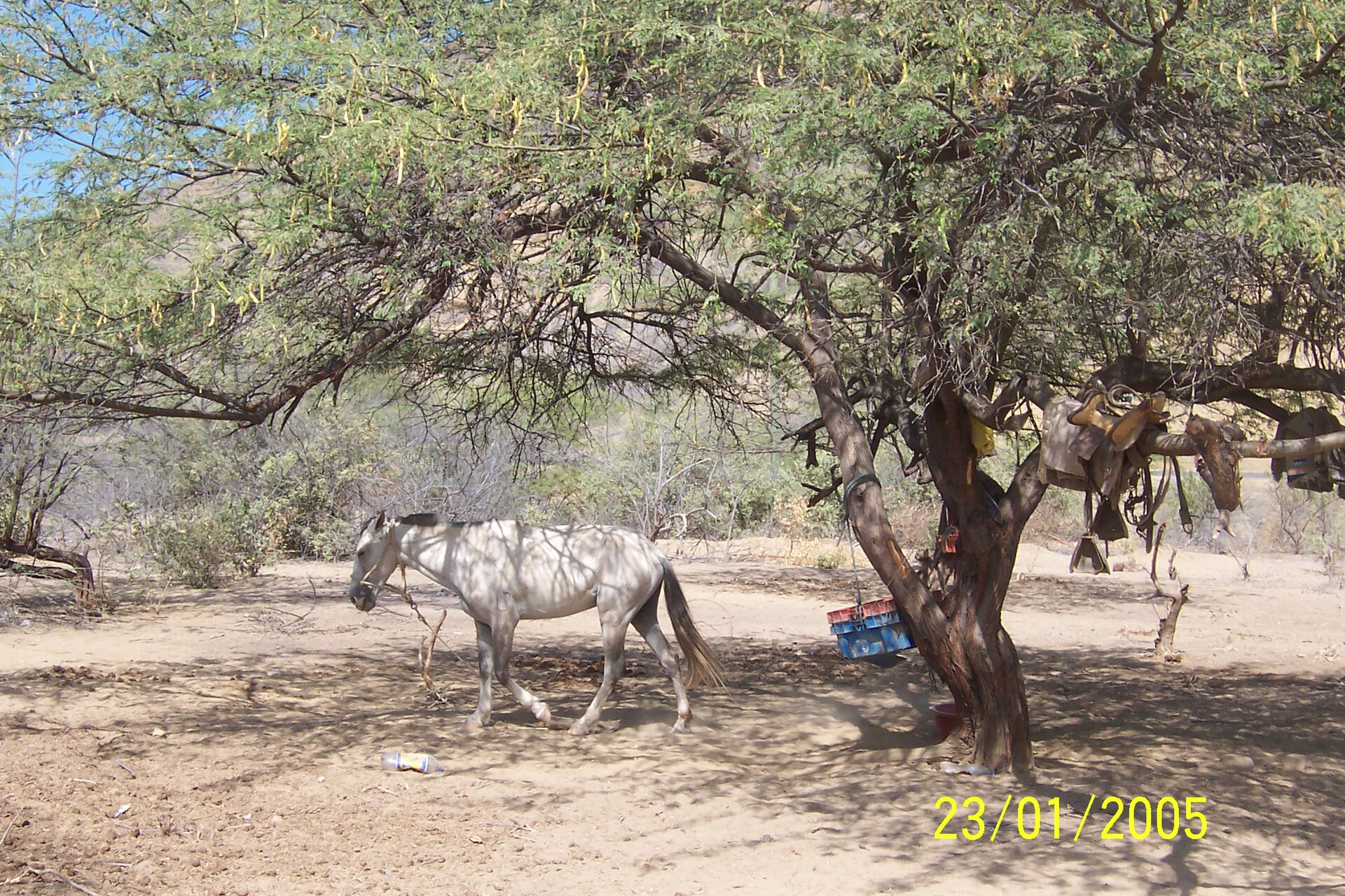 Tierras áridas