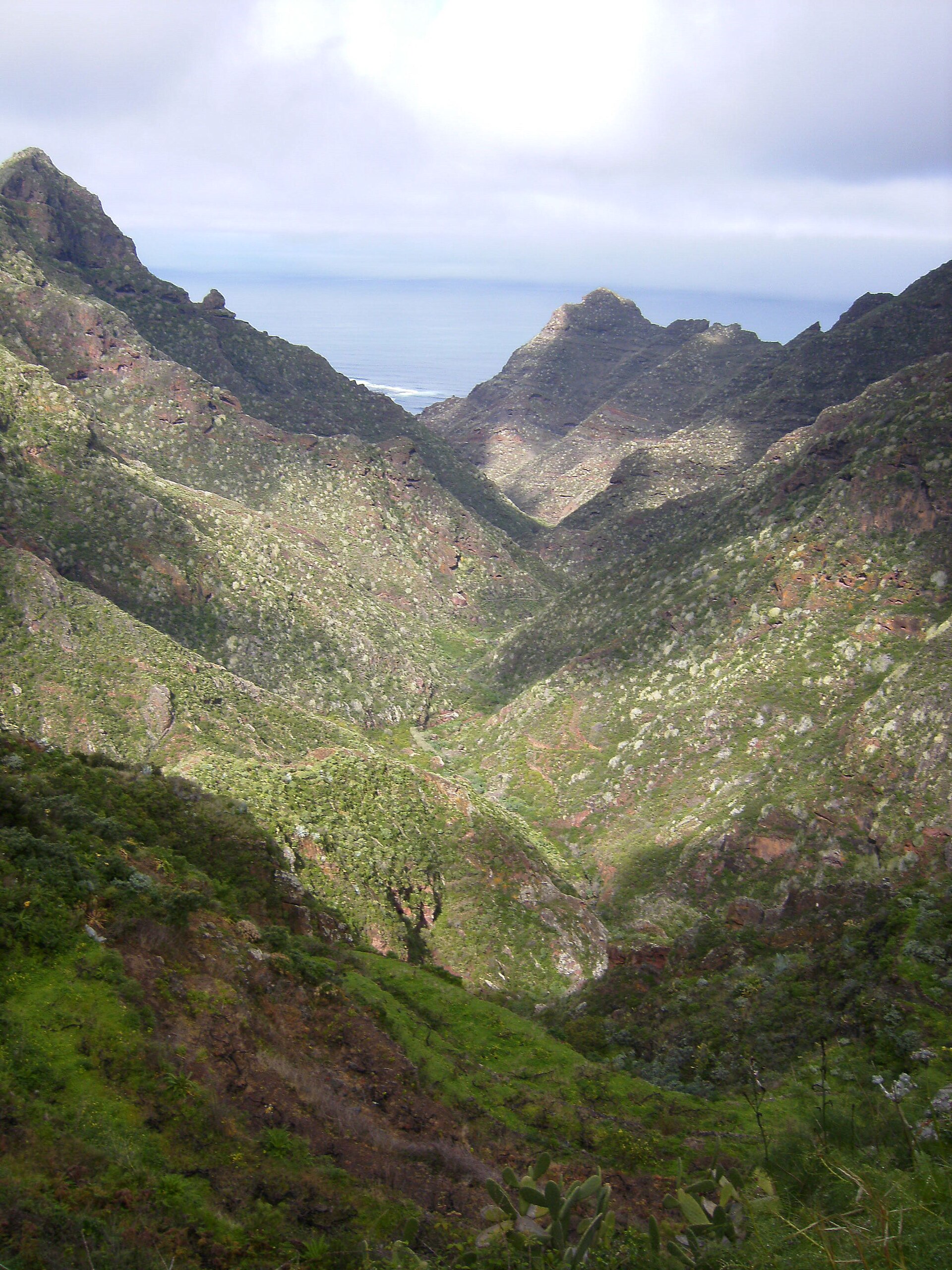 Barranco del Río (La Laguna)