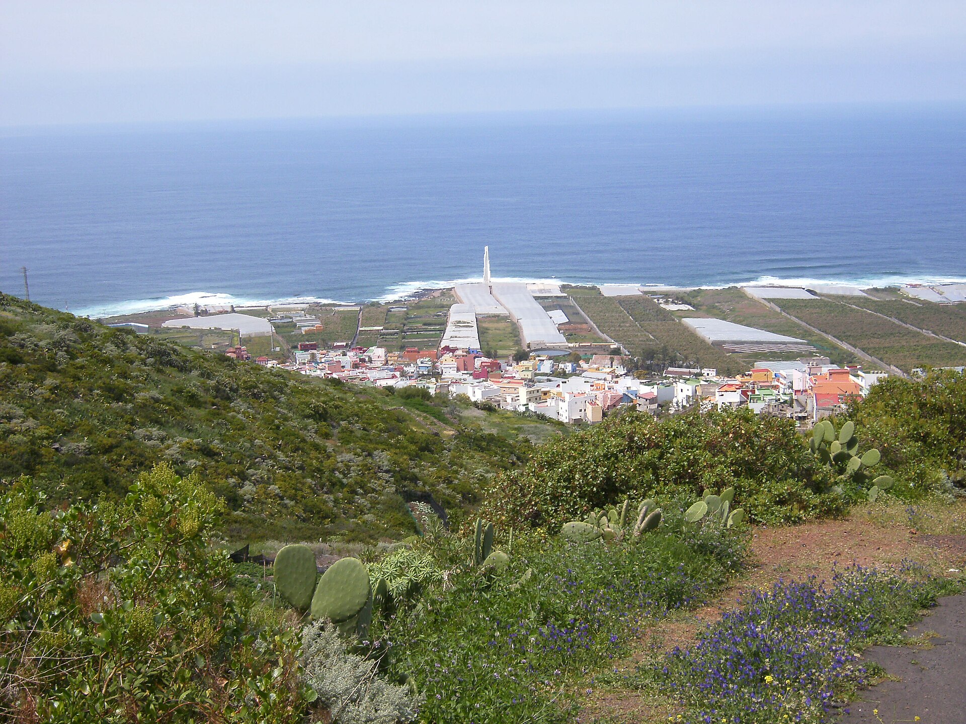 Punta del Hidalgo