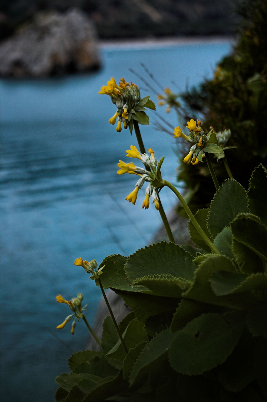 Capo Palinuro