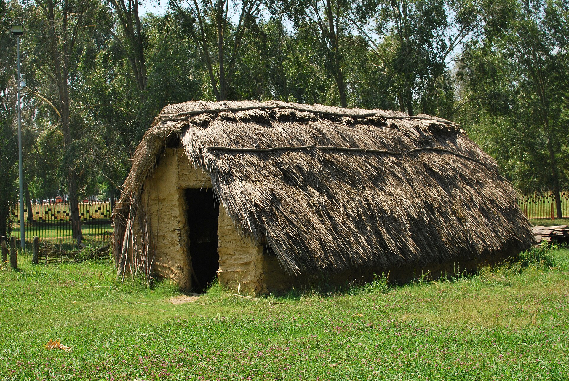 Yacimiento arqueológico de La Draga