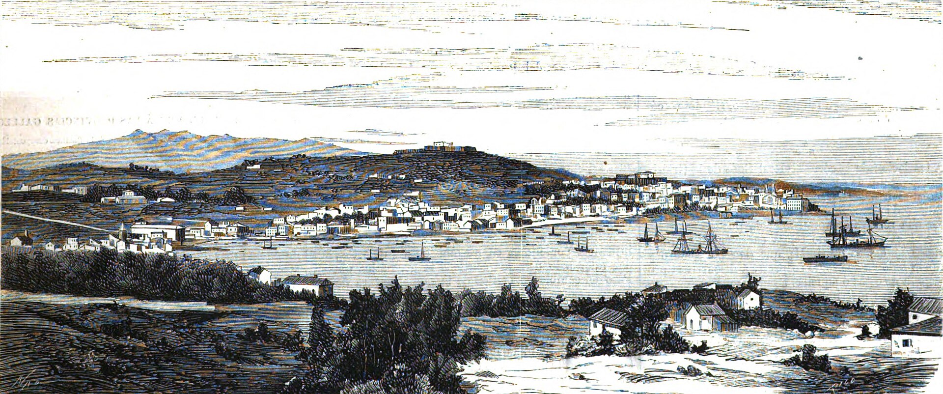 Vigo