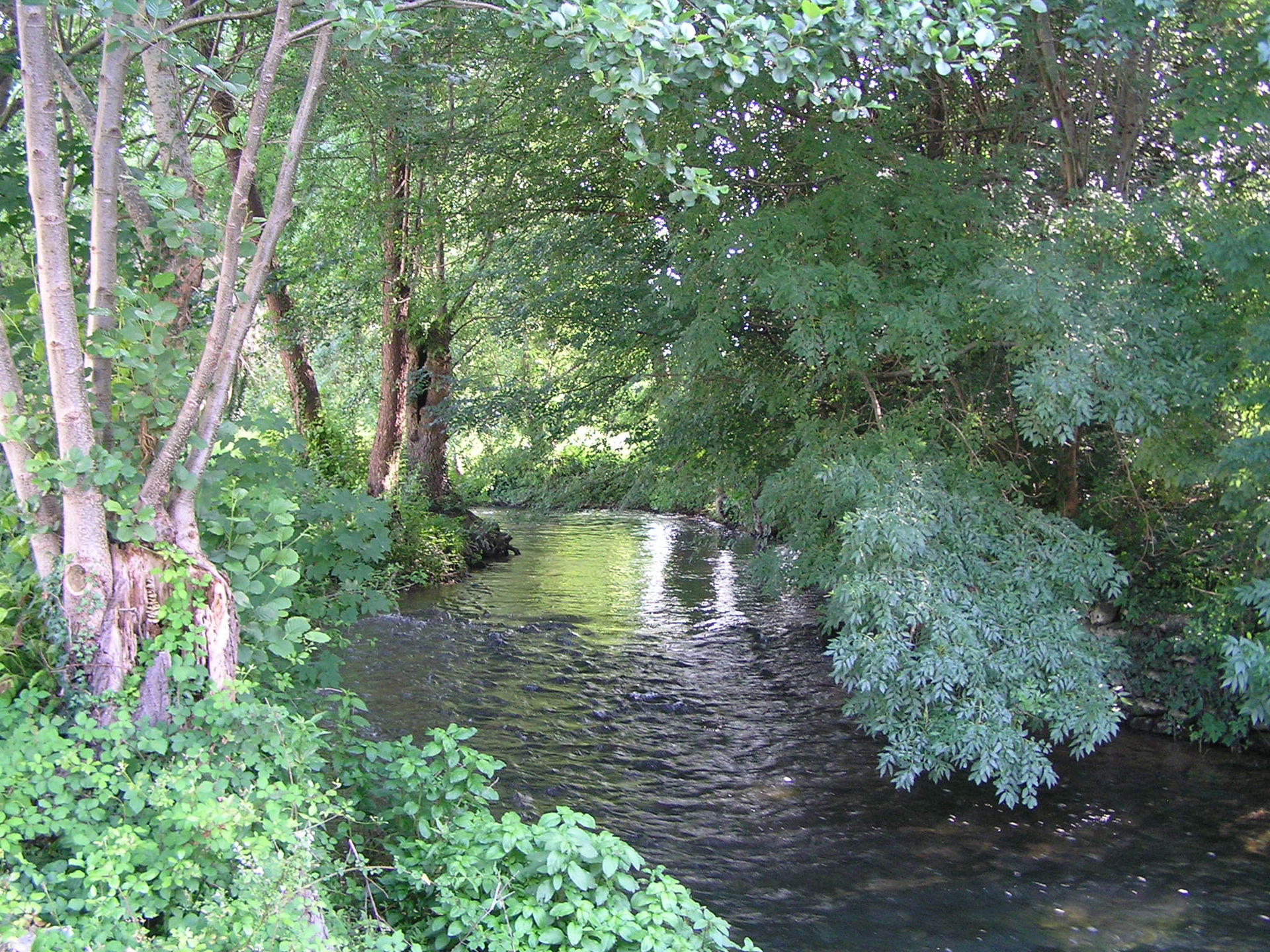 Antenne (rivière)