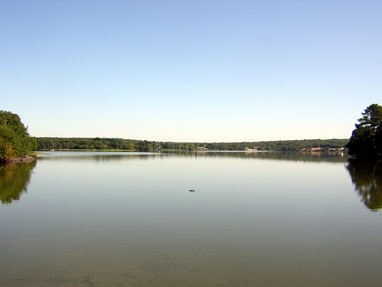 Grand réservoir de Vioreau