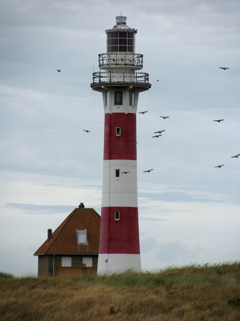 Phare de Nieuport
