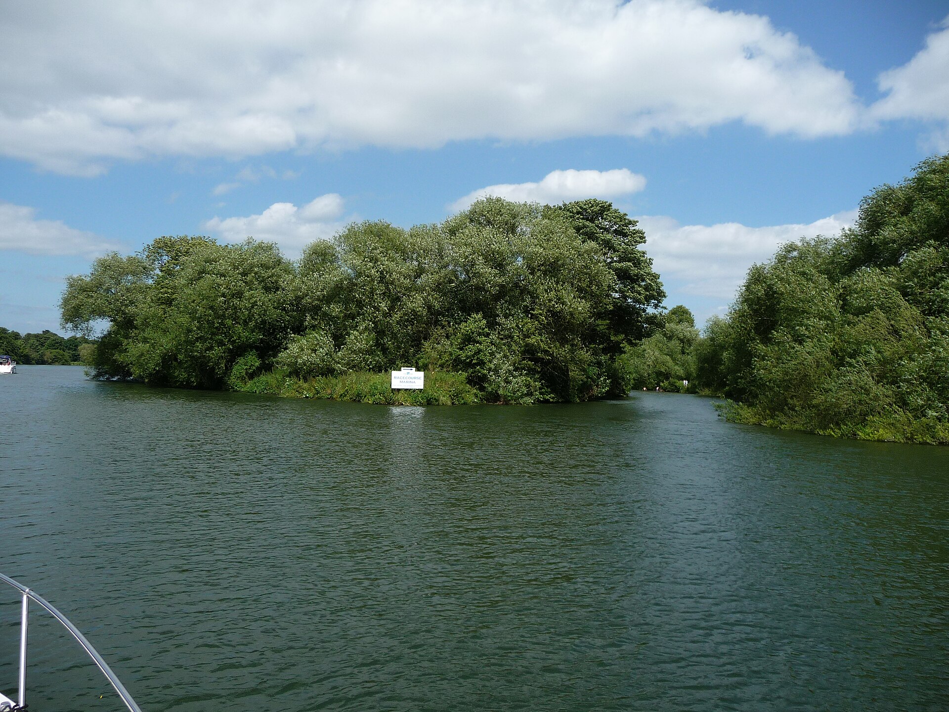 Bush Ait