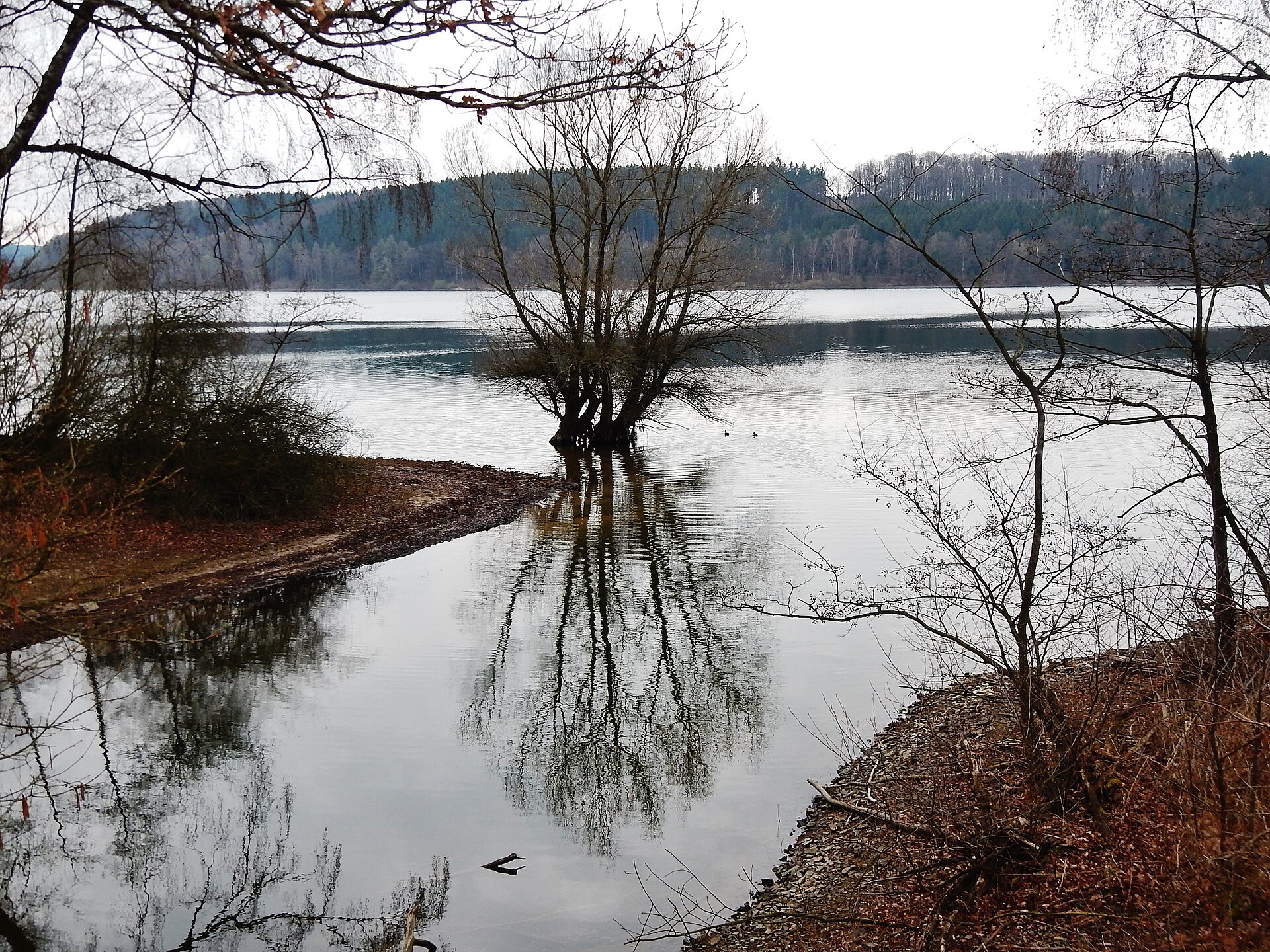 Möhnesee (Vogelschutzgebiet)