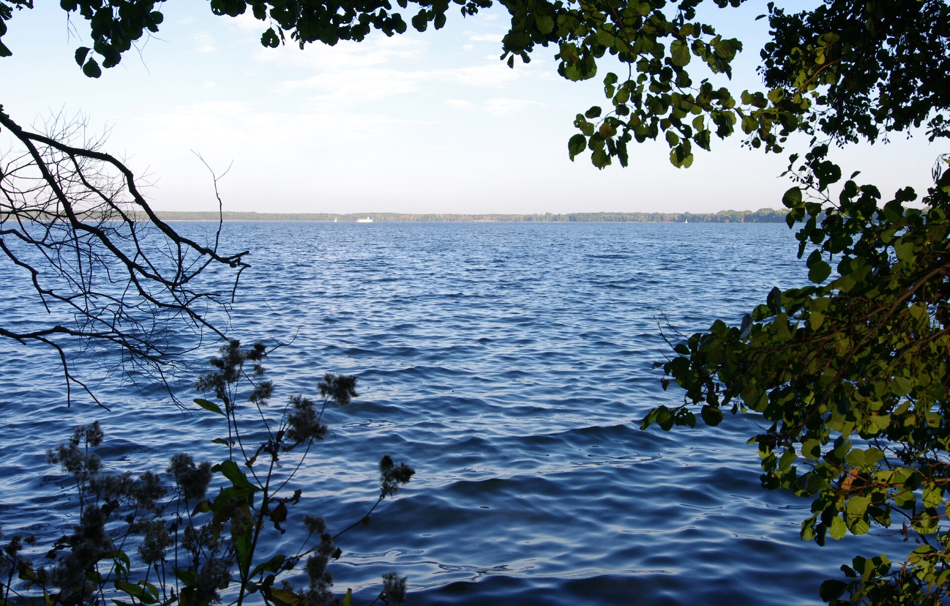 Arendsee (See)