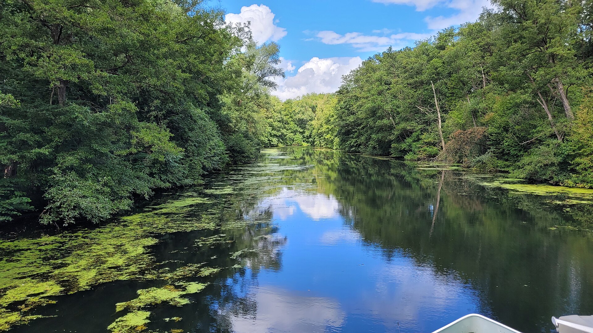 Wakenitz