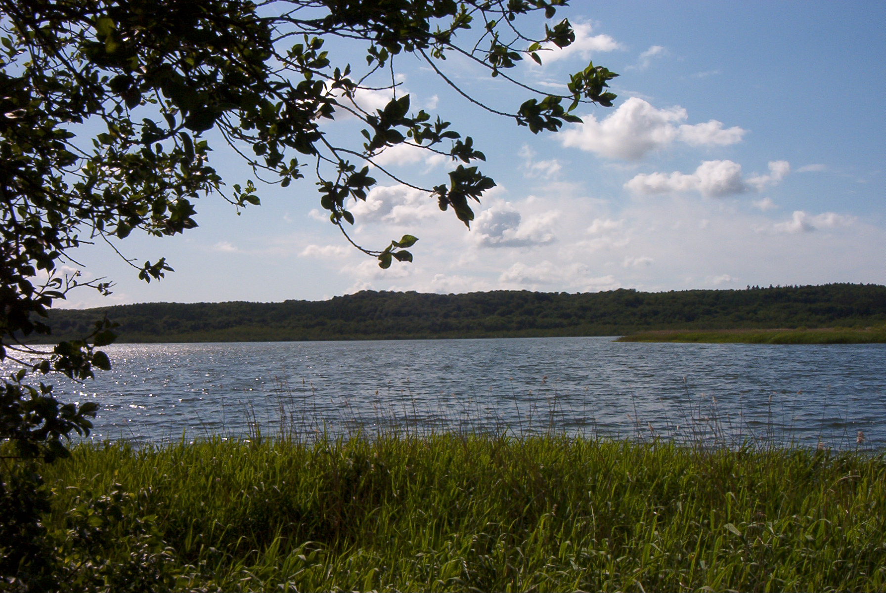Schmachter See